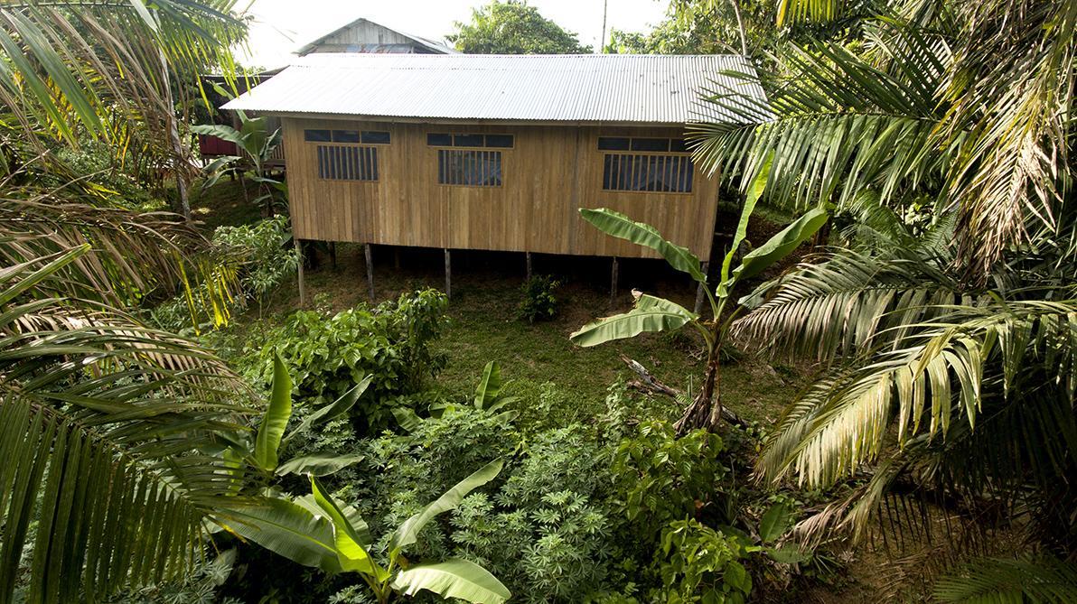 La Ceiba, Amazonas Hotell Leticia Eksteriør bilde