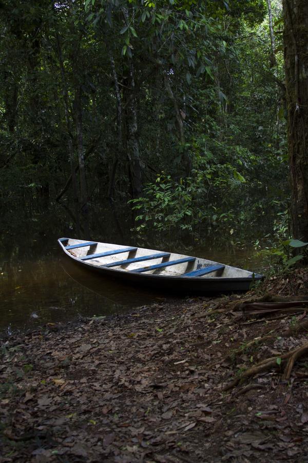 La Ceiba, Amazonas Hotell Leticia Eksteriør bilde