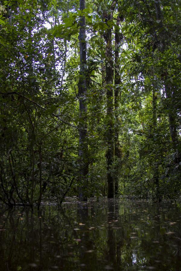 La Ceiba, Amazonas Hotell Leticia Eksteriør bilde